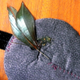 Illustration for article titled How To Make Your Own Royal Wedding Fascinator